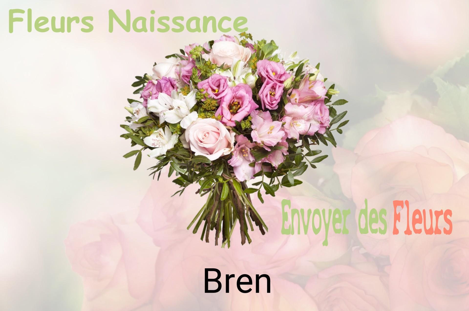 Bouquet de fleurs de naissance livré à Bren